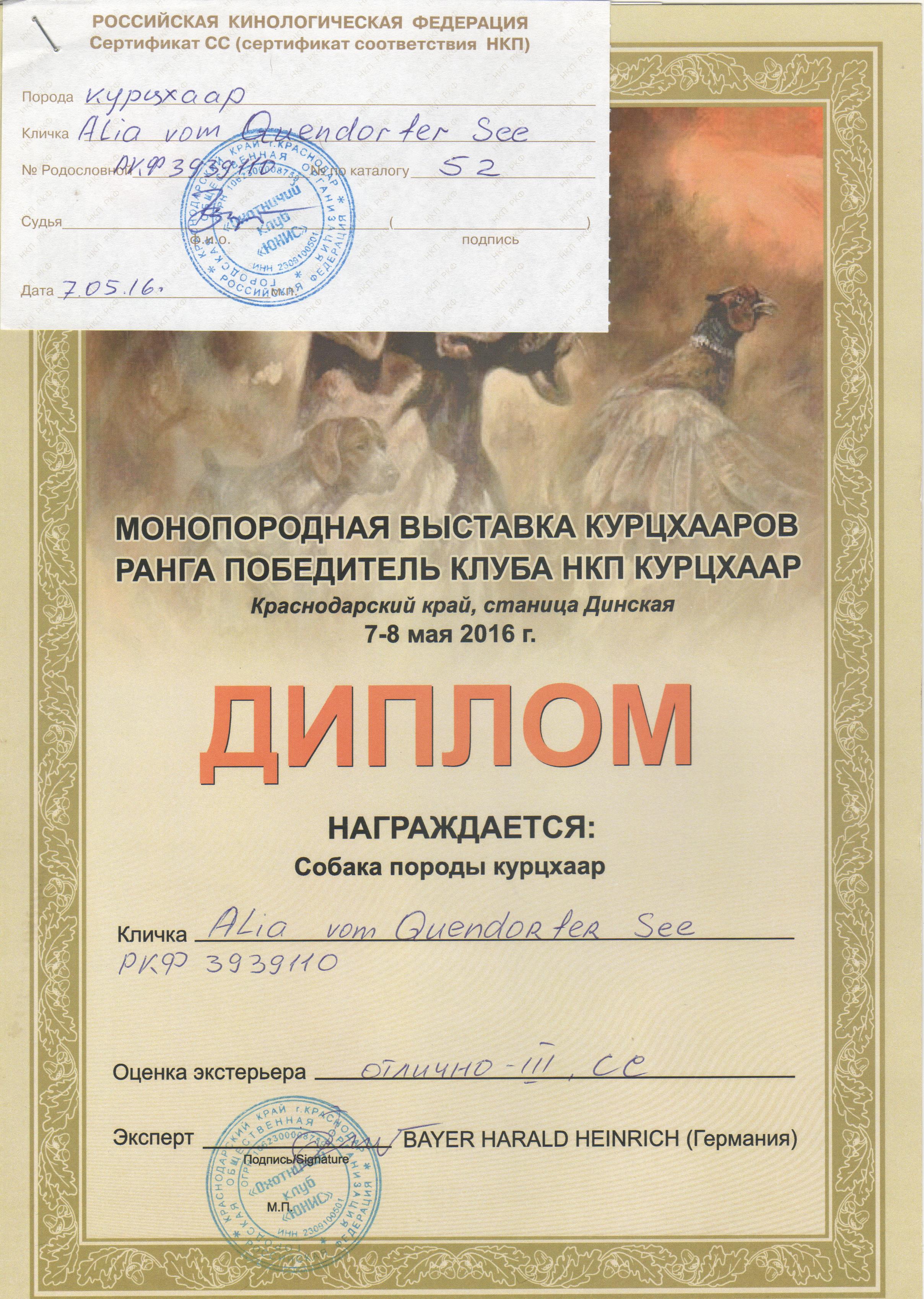 Алия и Тристан