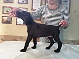 Охотничья Академия Мэйза