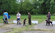 Монопородная выставка с.Динская