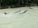 Заплыв в Горячем Ключе )